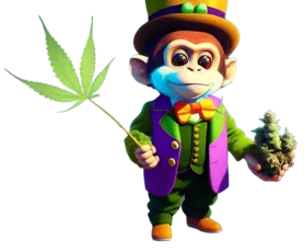 umpa lumpa monkey scimmia weedwonka cannabis light cbd